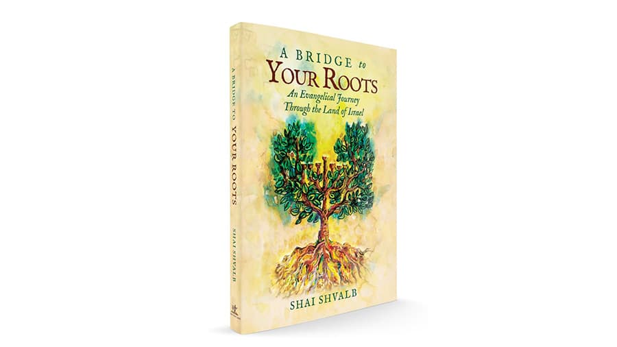 A Bridge to Your Roots book cover